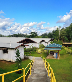 Walkway leading to housing units at a remote workforce camp in a tropical setting.